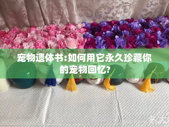 宠物遗体书:如何用它永久珍藏你的宠物回忆?