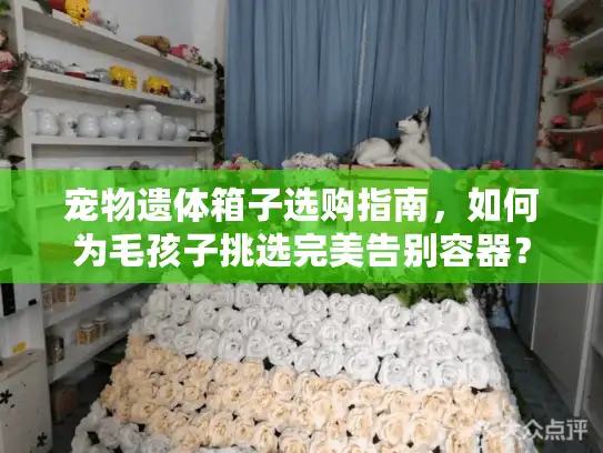 宠物遗体箱子选购指南，如何为毛孩子挑选完美告别容器？
