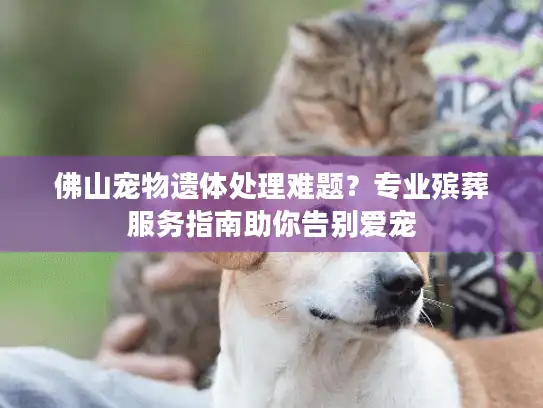 佛山宠物遗体处理难题？专业殡葬服务指南助你告别爱宠