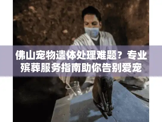佛山宠物遗体处理难题？专业殡葬服务指南助你告别爱宠