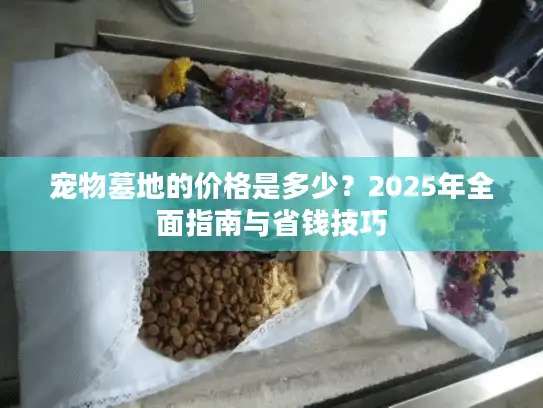 宠物墓地的价格是多少？2025年全面指南与省钱技巧