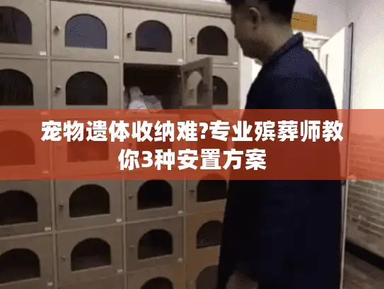 宠物遗体收纳难?专业殡葬师教你3种安置方案