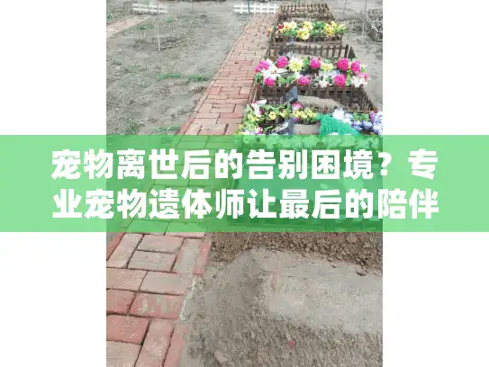 宠物离世后的告别困境？专业宠物遗体师让最后的陪伴充满尊严