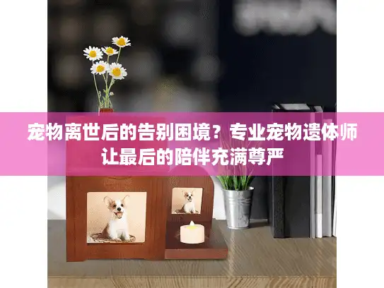 宠物离世后的告别困境？专业宠物遗体师让最后的陪伴充满尊严