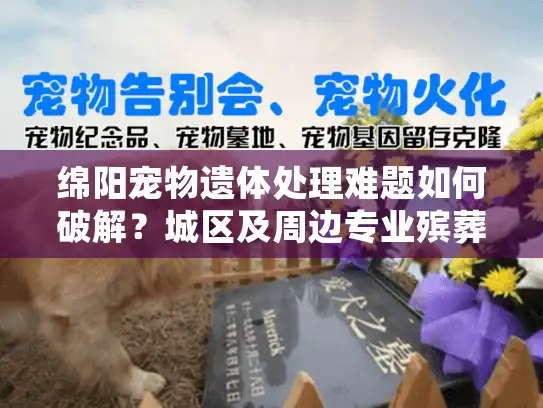 绵阳宠物遗体处理难题如何破解？城区及周边专业殡葬服务指南