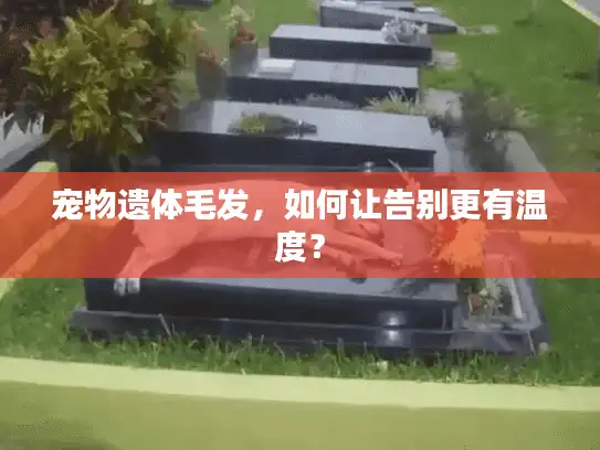 宠物遗体毛发，如何让告别更有温度？