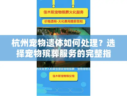 杭州宠物遗体如何处理？选择宠物殡葬服务的完整指南