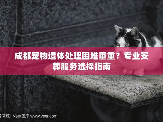 成都宠物遗体处理困难重重？专业安葬服务选择指南
