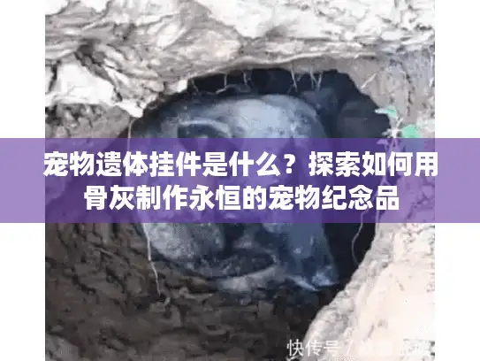 宠物遗体挂件是什么？探索如何用骨灰制作永恒的宠物纪念品