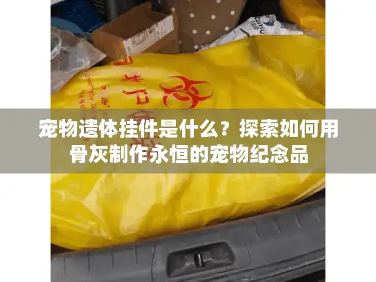 宠物遗体挂件是什么？探索如何用骨灰制作永恒的宠物纪念品