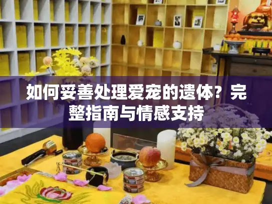 如何妥善处理爱宠的遗体？完整指南与情感支持