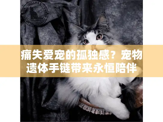痛失爱宠的孤独感？宠物遗体手链带来永恒陪伴