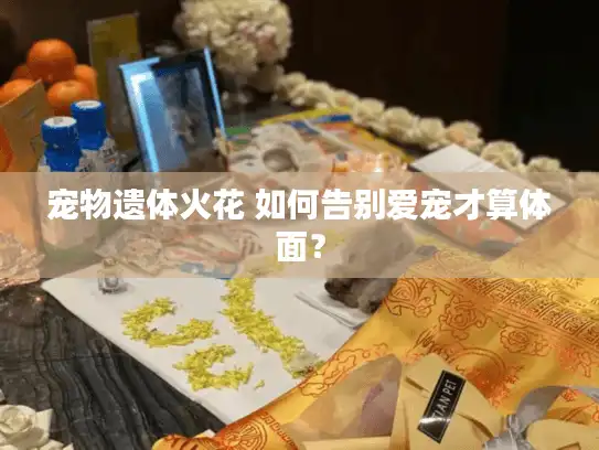宠物遗体火花 如何告别爱宠才算体面？