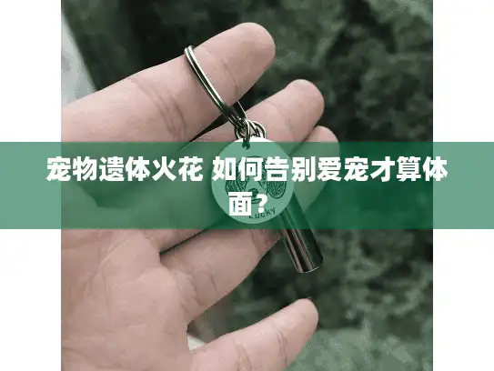 宠物遗体火花 如何告别爱宠才算体面？