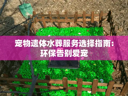 宠物遗体水葬服务选择指南:环保告别爱宠