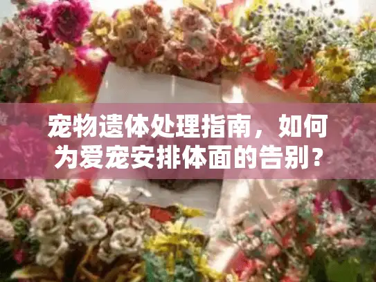 宠物遗体处理指南，如何为爱宠安排体面的告别？