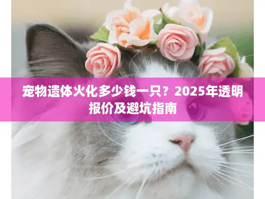 宠物遗体火化多少钱一只？2025年透明报价及避坑指南