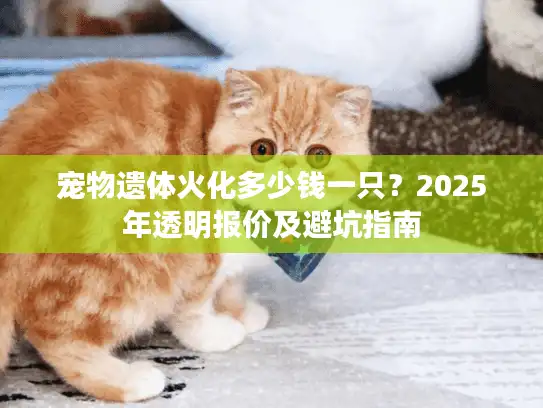 宠物遗体火化多少钱一只？2025年透明报价及避坑指南