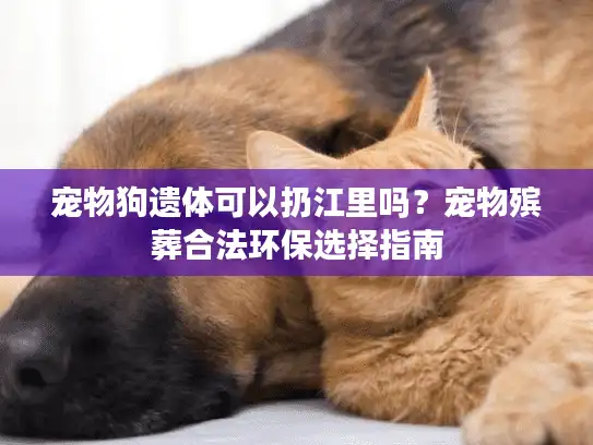 宠物狗遗体可以扔江里吗？宠物殡葬合法环保选择指南