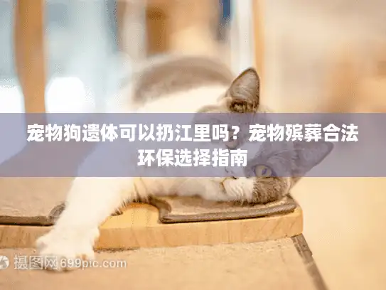宠物狗遗体可以扔江里吗？宠物殡葬合法环保选择指南