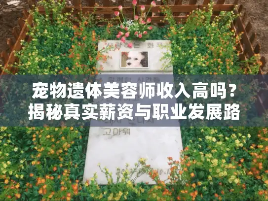 宠物遗体美容师收入高吗？揭秘真实薪资与职业发展路径