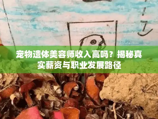 宠物遗体美容师收入高吗？揭秘真实薪资与职业发展路径