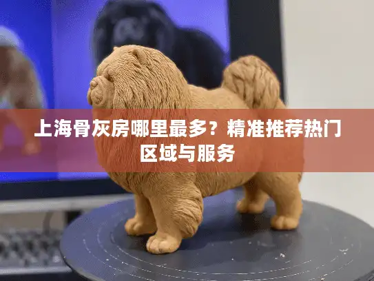 上海骨灰房哪里最多？精准推荐热门区域与服务