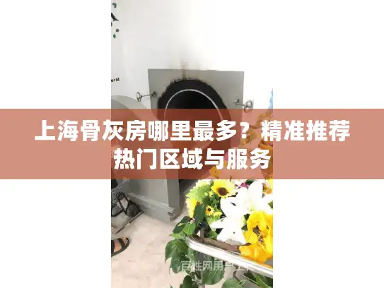 上海骨灰房哪里最多？精准推荐热门区域与服务