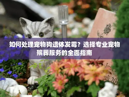如何处理宠物狗遗体发霉？选择专业宠物殡葬服务的全面指南