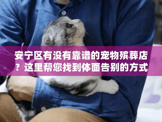 安宁区有没有靠谱的宠物殡葬店？这里帮您找到体面告别的方式
