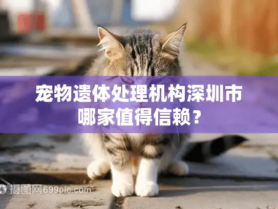 宠物遗体处理机构深圳市哪家值得信赖？