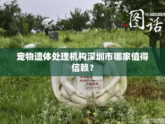 宠物遗体处理机构深圳市哪家值得信赖？