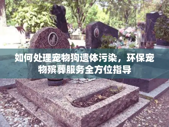 如何处理宠物狗遗体污染，环保宠物殡葬服务全方位指导