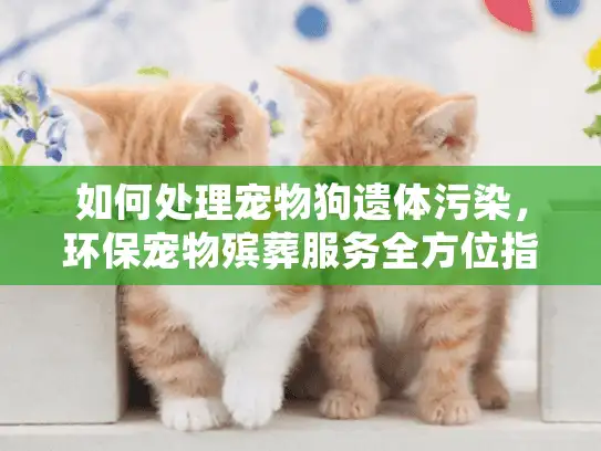 如何处理宠物狗遗体污染，环保宠物殡葬服务全方位指导
