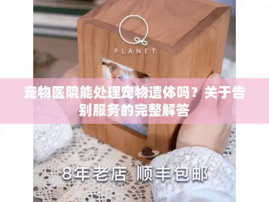 宠物医院能处理宠物遗体吗？关于告别服务的完整解答