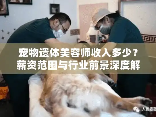 宠物遗体美容师收入多少？薪资范围与行业前景深度解析
