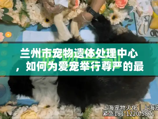 兰州市宠物遗体处理中心，如何为爱宠举行尊严的最后告别？