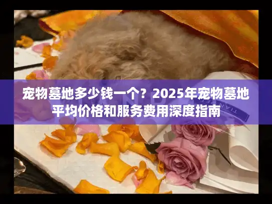 宠物墓地多少钱一个？2025年宠物墓地平均价格和服务费用深度指南