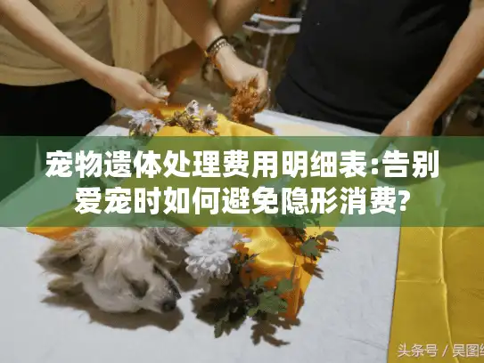 宠物遗体处理费用明细表:告别爱宠时如何避免隐形消费?