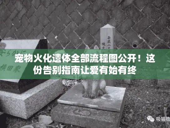 宠物火化遗体全部流程图公开！这份告别指南让爱有始有终
