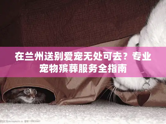在兰州送别爱宠无处可去？专业宠物殡葬服务全指南