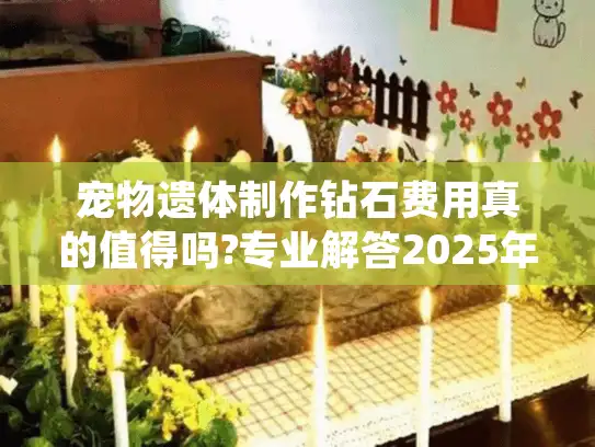 宠物遗体制作钻石费用真的值得吗?专业解答2025年价格疑虑