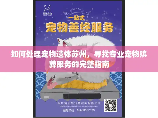 如何处理宠物遗体苏州，寻找专业宠物殡葬服务的完整指南