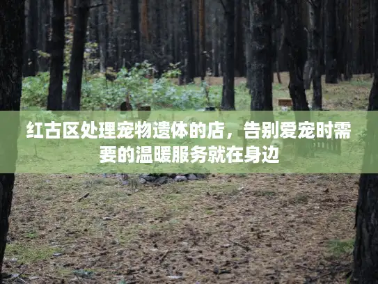 红古区处理宠物遗体的店，告别爱宠时需要的温暖服务就在身边