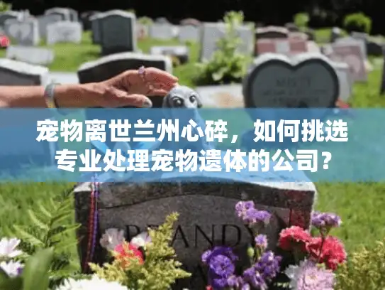 宠物离世兰州心碎，如何挑选专业处理宠物遗体的公司？