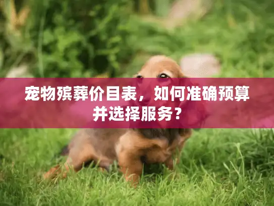 宠物殡葬价目表，如何准确预算并选择服务？