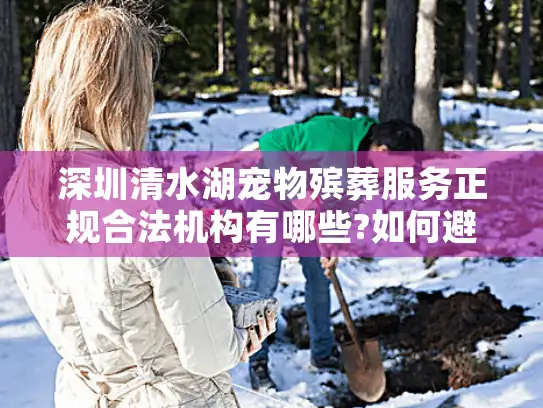深圳清水湖宠物殡葬服务正规合法机构有哪些?如何避坑选对
