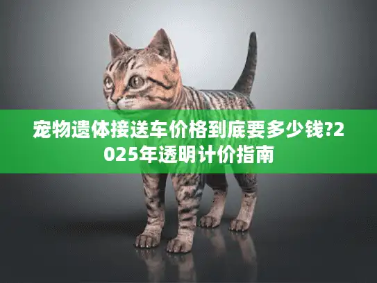 宠物遗体接送车价格到底要多少钱?2025年透明计价指南