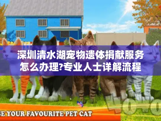 深圳清水湖宠物遗体捐献服务怎么办理?专业人士详解流程