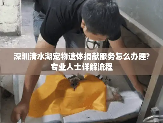 深圳清水湖宠物遗体捐献服务怎么办理?专业人士详解流程
